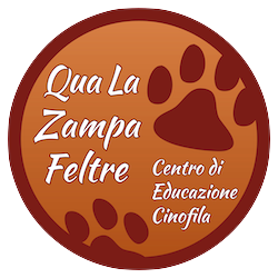 Qua La Zampa Feltre